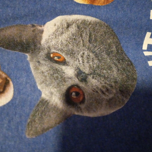 Cat t-shirt - Picture 5 of 7